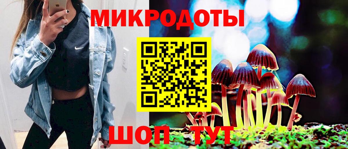Псилоцибиновые грибы Cubensis  Вход с VPN  Псилоцибиновые грибы Cubensis  Балабаново 