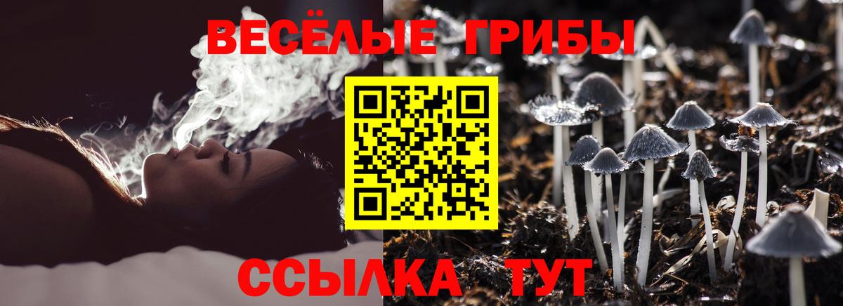 Псилоцибиновые грибы Cubensis Балабаново